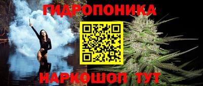 шишки Краснодар