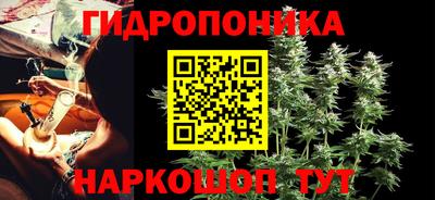 шишки Краснодар